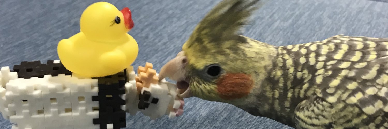 オカメンズ's banner