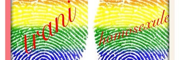 suzan cd's banner