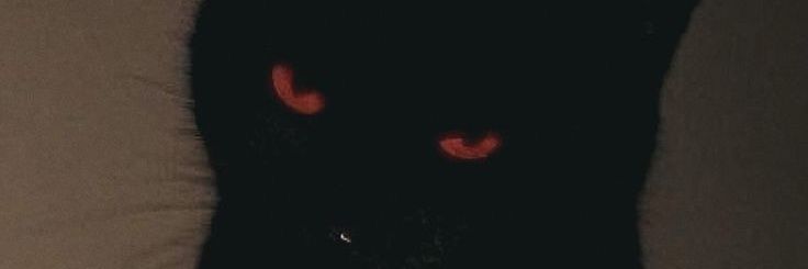 jeno⛄'s banner