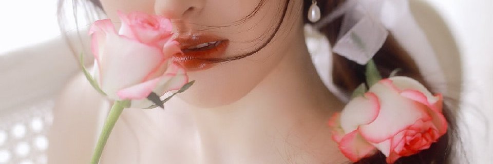 白li's banner