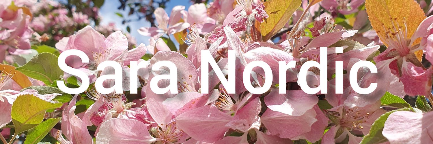 Sara's banner