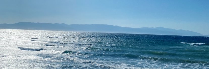 s.deniz's banner