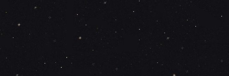 ✦𝕿𝖍𝖊 𝕷𝖎𝖔𝖓✦'s banner