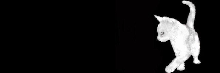 SɏȺħƀɍɨnȺ's banner