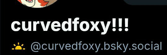 curvedfoxy's banner