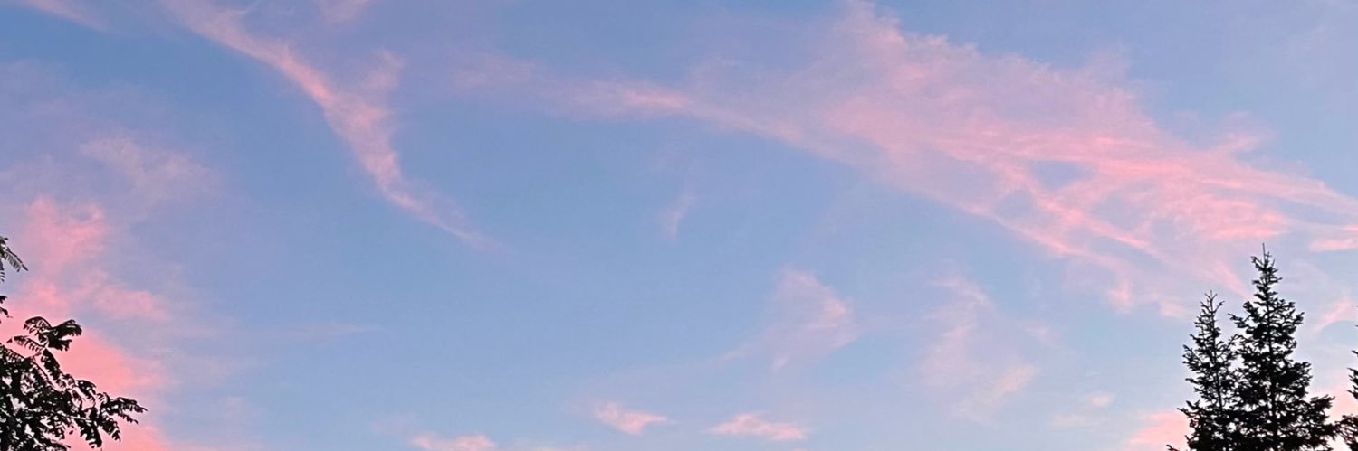 The A🇮🇷 (سرهنگ اداره سوم ساواک)'s banner
