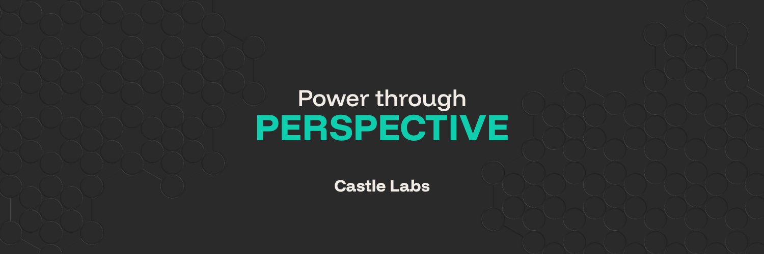 Castle Labs 🏰's banner