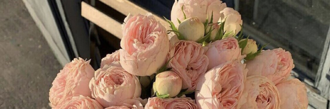 Paeonia's banner