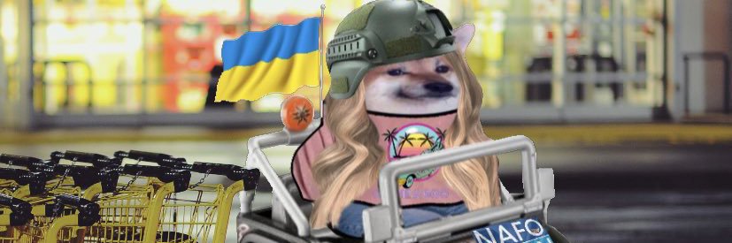 Polina Shumakova's banner