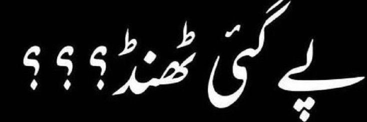 Jiya✨🇵🇰's banner