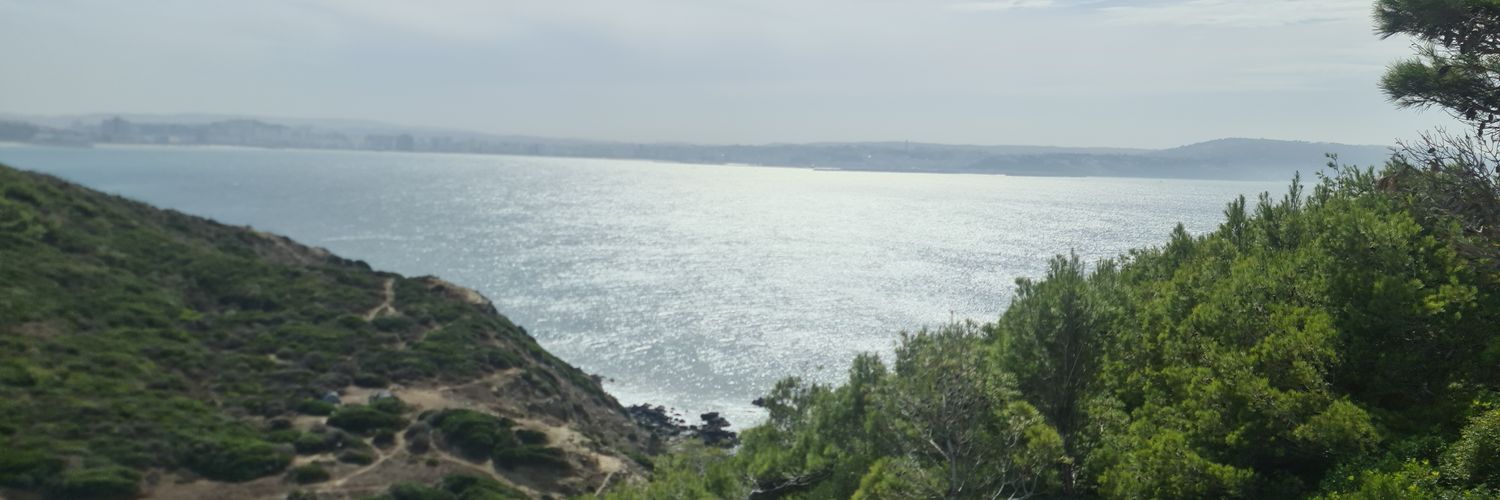 ناصر الندابي's banner