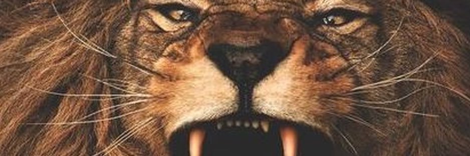 Tara 👑👑👑پهلوی خواه's banner