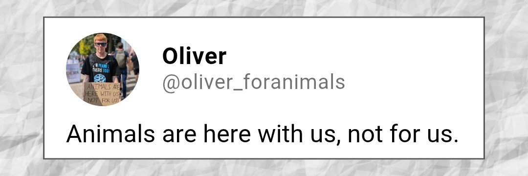 Oliver's banner