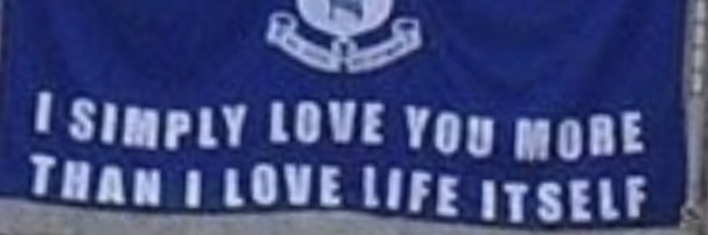 Gavo's banner