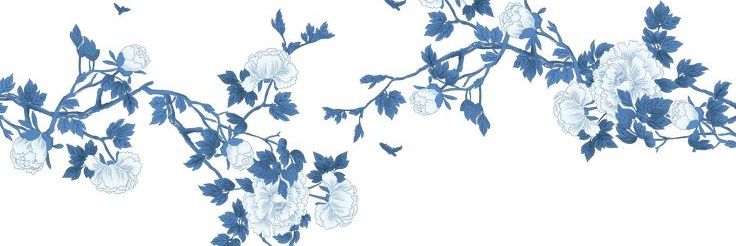 S.'s banner
