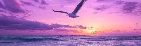 MaJo 💕✨'s banner