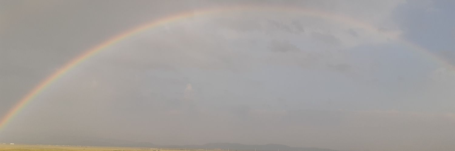 majeed's banner