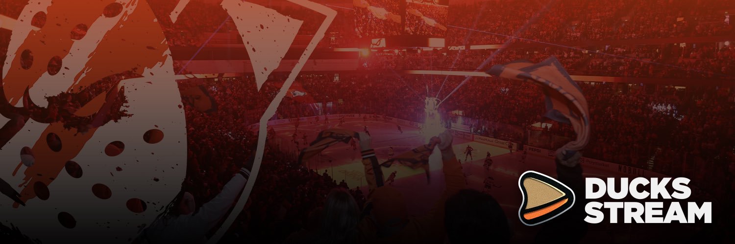 Ducks Stream's banner