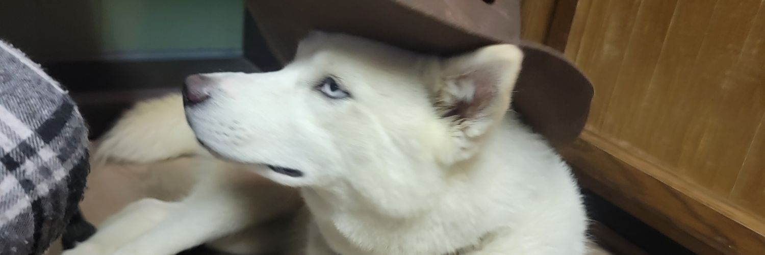 Pork (gone fishin)'s banner