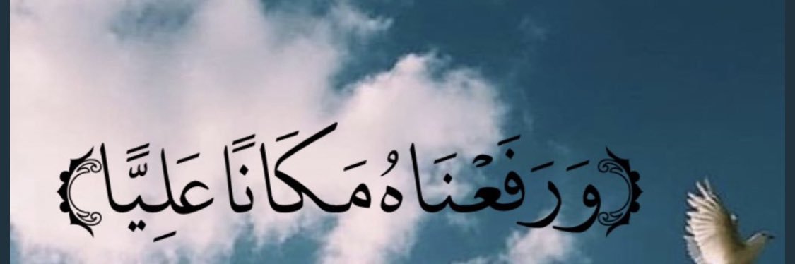 جولاي 🧚🏻‍♀️'s banner