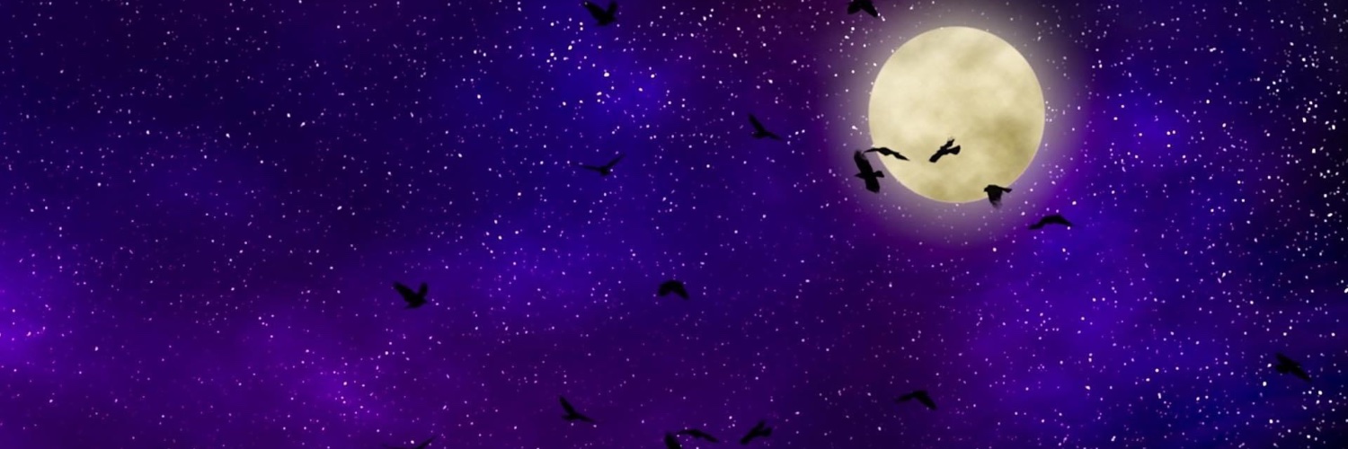 Raven 🐦‍⬛'s banner