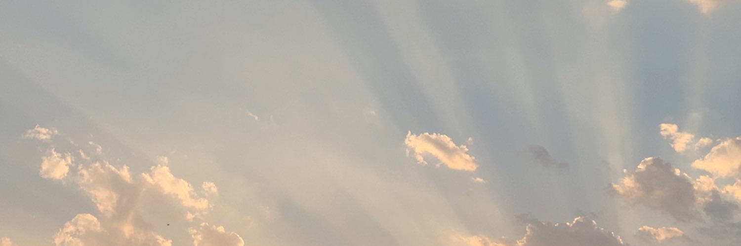 x's banner