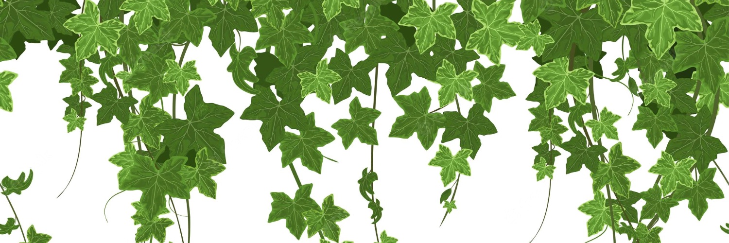 Ivy ♡ findom's banner