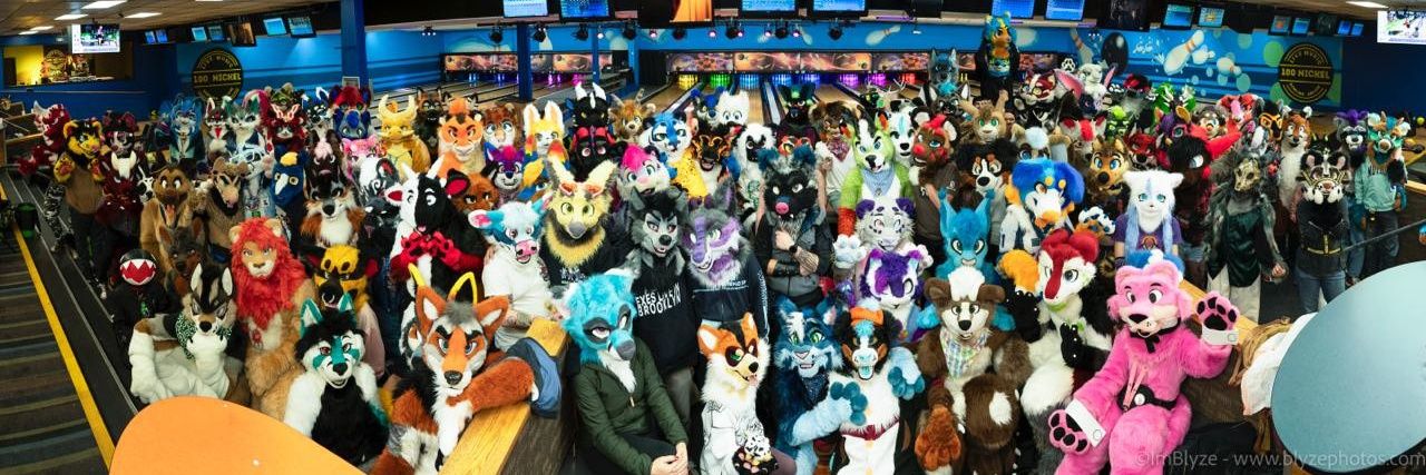 SKYE🐾✨🏳️‍⚧️'s banner
