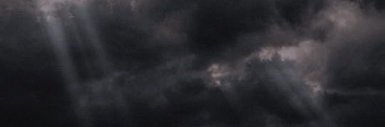 Insurrection Barbie's banner