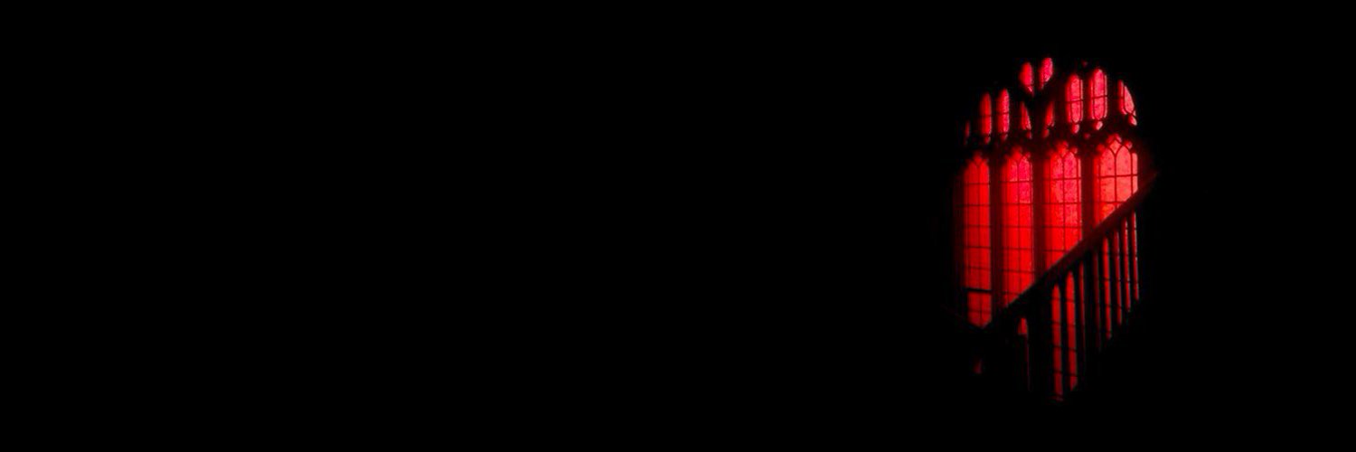 🩸 𝔴𝔶𝔯𝔪 ✧˖*°࿐ 🩶's banner