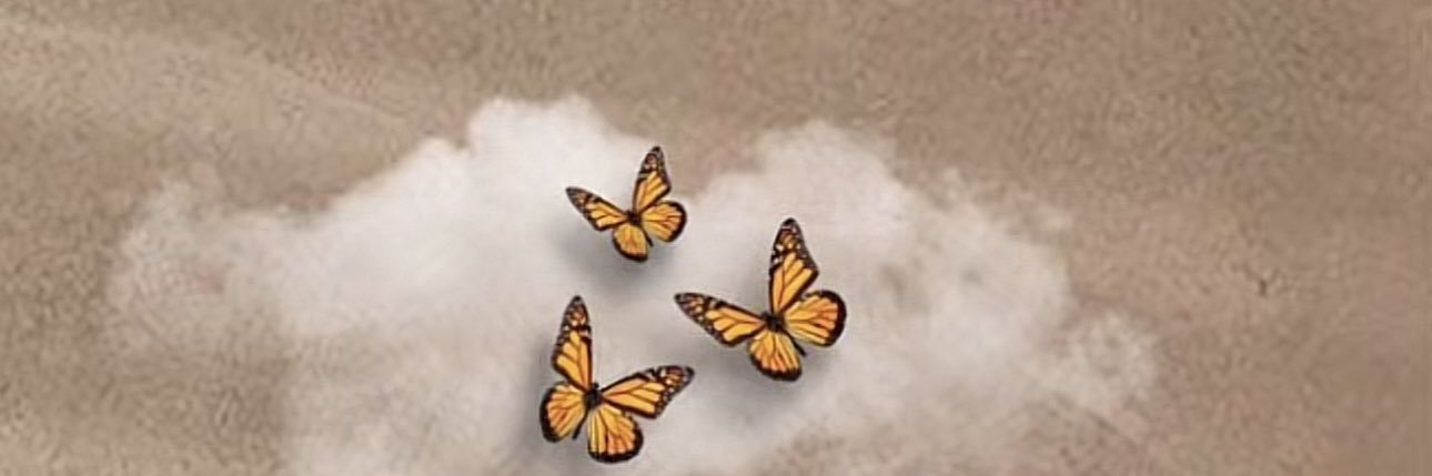 ‏ همســ🖊ـــة عابره's banner