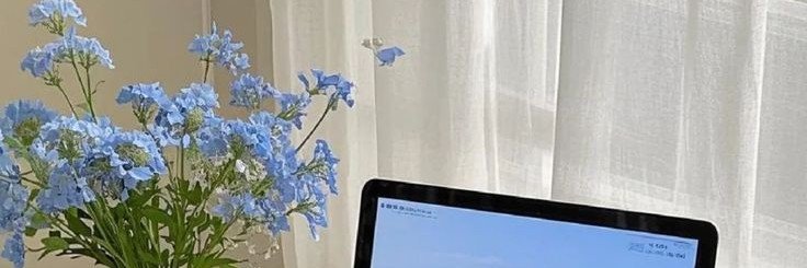 ASHLY🥀's banner