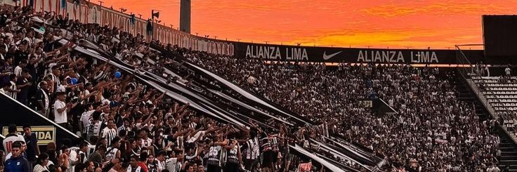 Bedryx 🐆's banner
