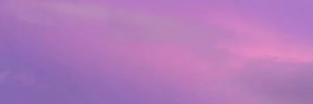 萧萧晕了咩🧀's banner