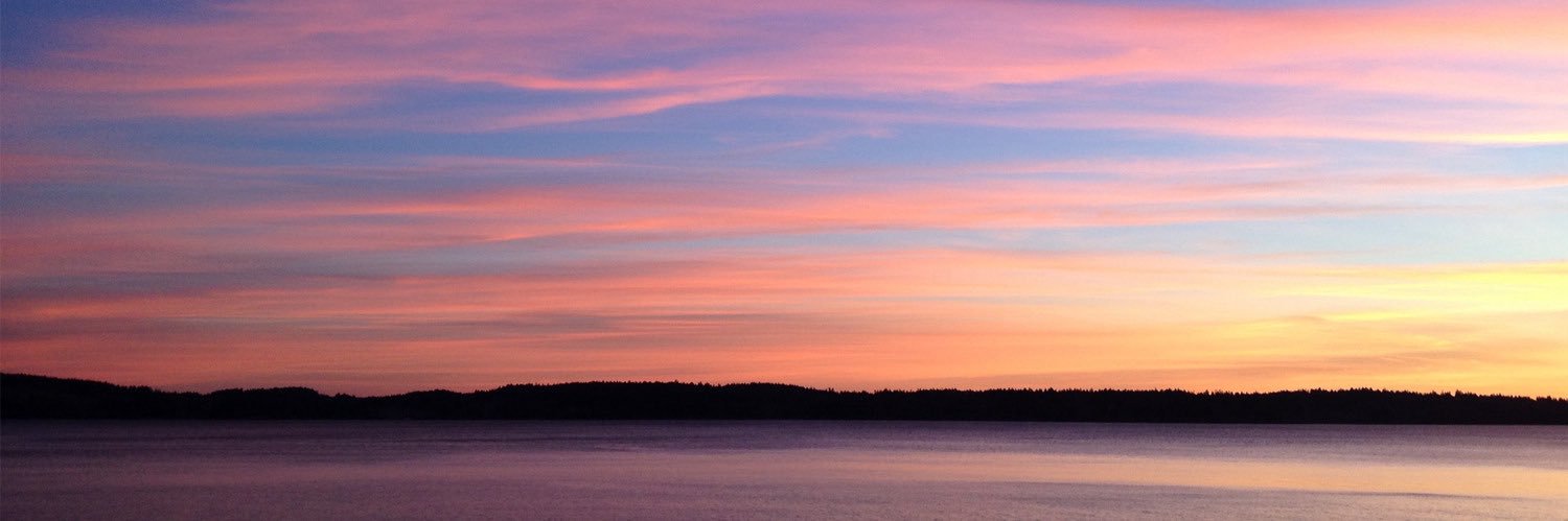 caro🌝's banner