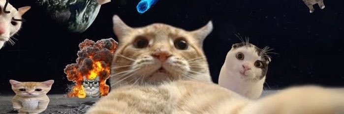 LPT's banner