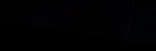 🐍's banner