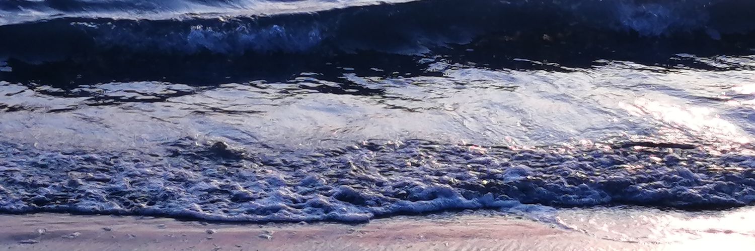 ニワニ's banner