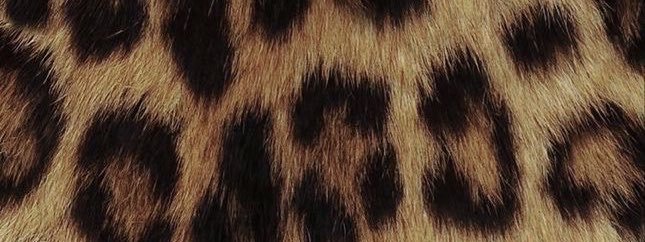 shhhitsasecret's banner