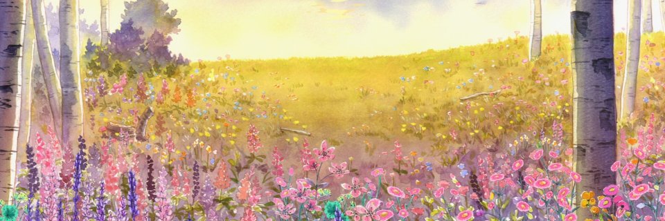 しおかぜ🪷's banner