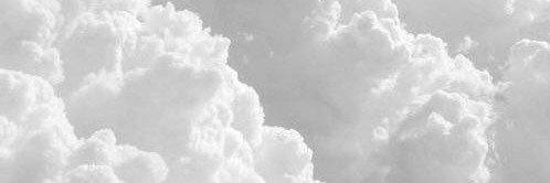 Ｓ🌺's banner