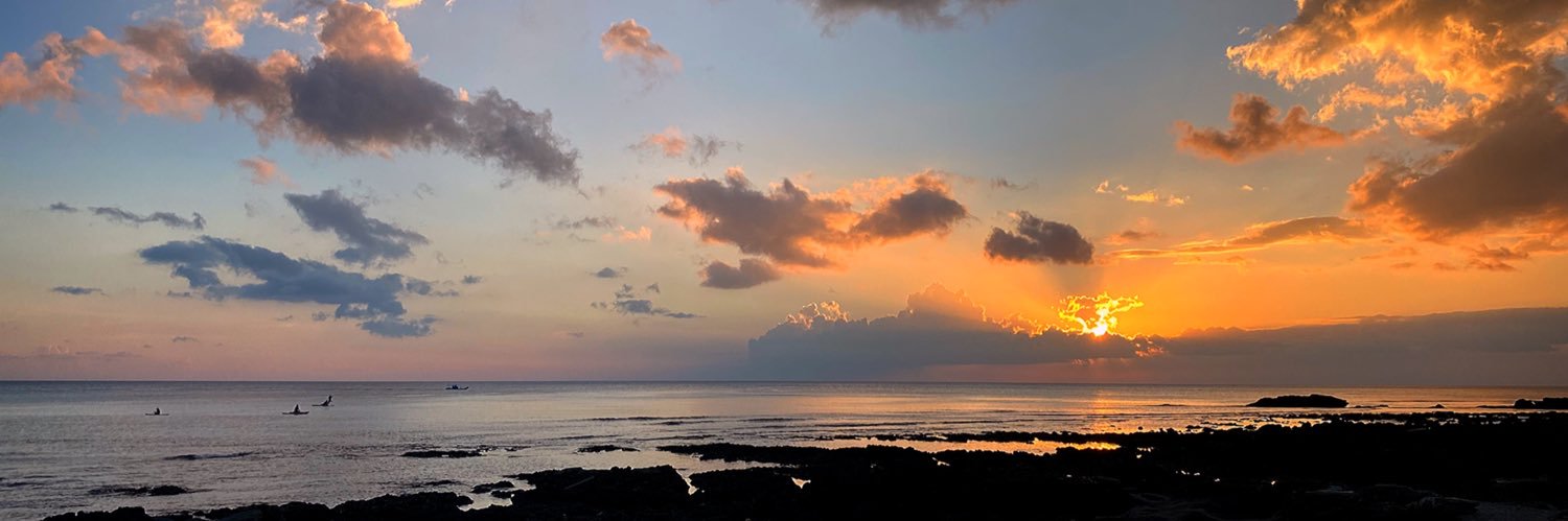 你的小太陽☀️☀️'s banner