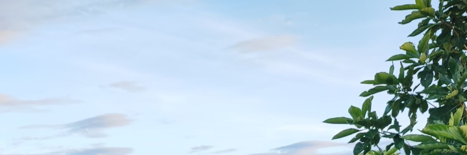 Baramos68🇹🇭's banner