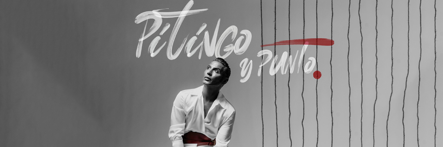 PITINGO ®'s banner