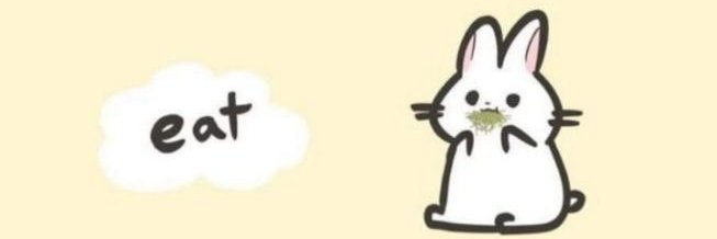 Tuelhinhos 🐇's banner