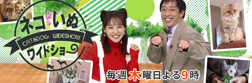 ネコいぬワイドショー（BS朝日）【公式】's banner