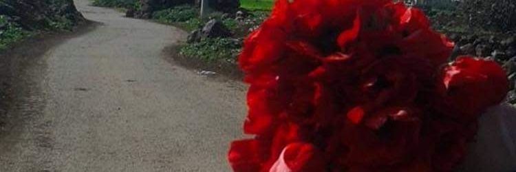 Mariam's banner