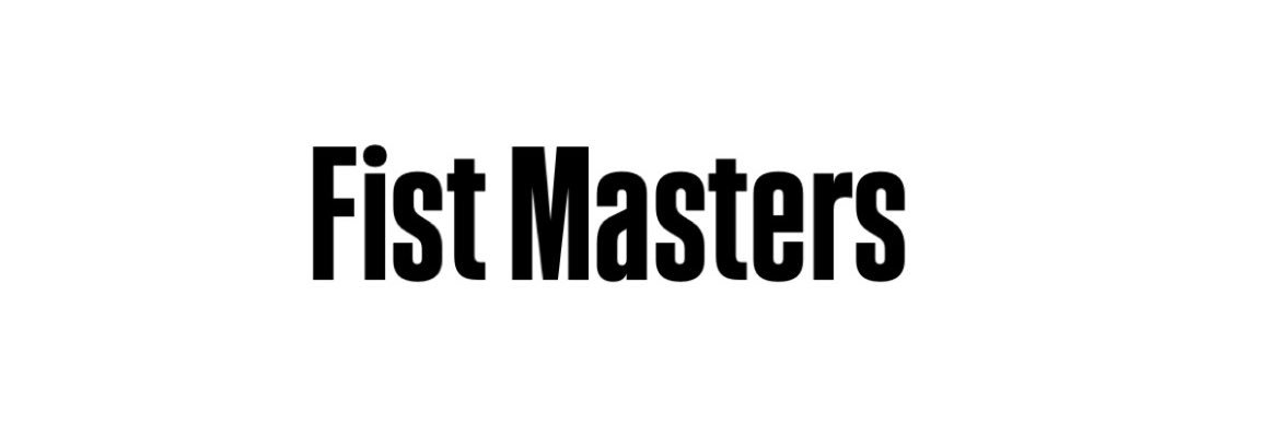 FIST MASTERS's banner