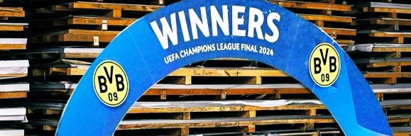VincBVBfeminine 🐝's banner