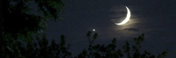 misshani🌙's banner